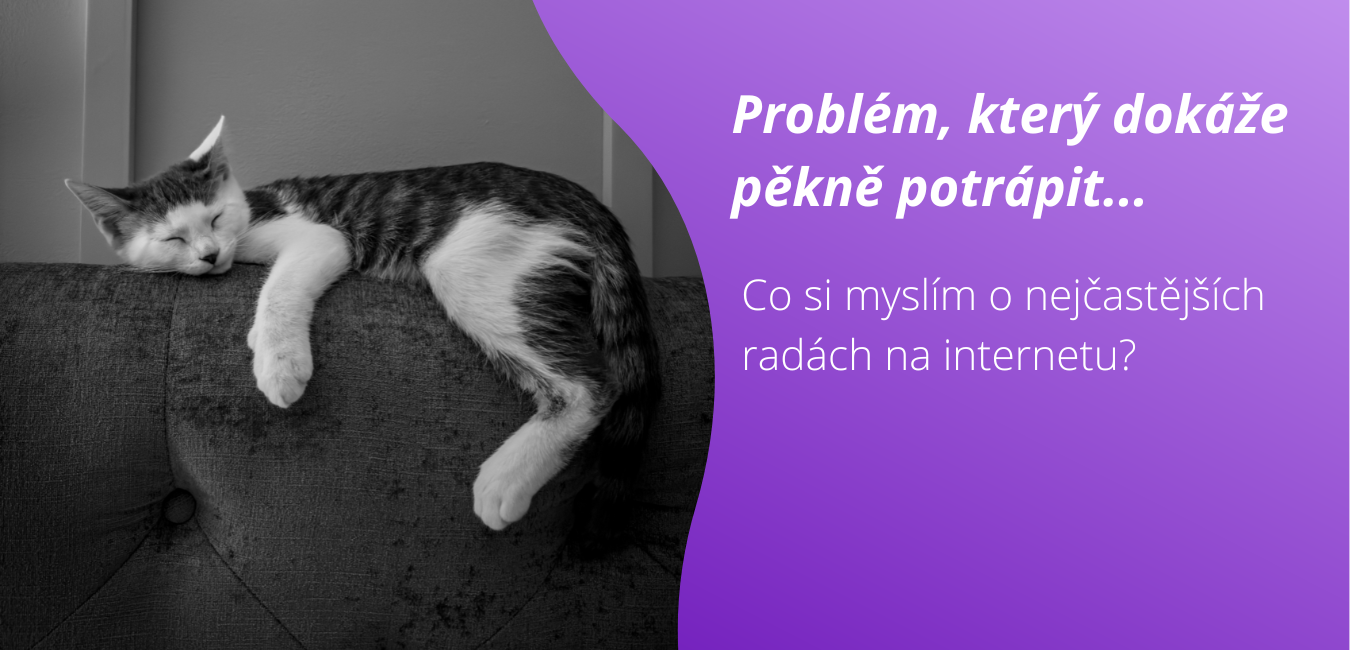 Kateřina Štiblická a její názor na nejčastější rady na internetu k močení kočky mimo toaletu